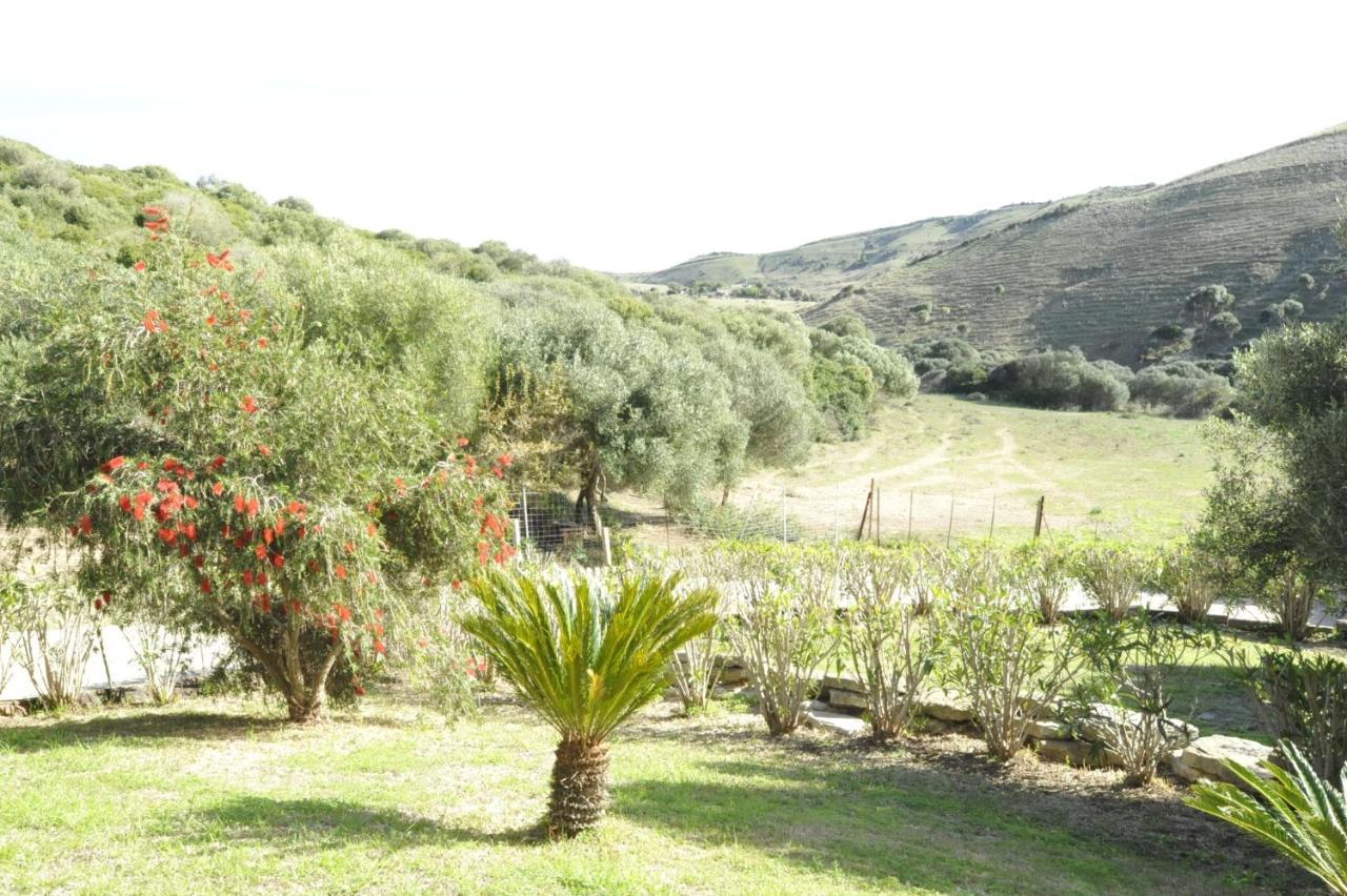 Finca La Cantarera 塔里法 外观 照片